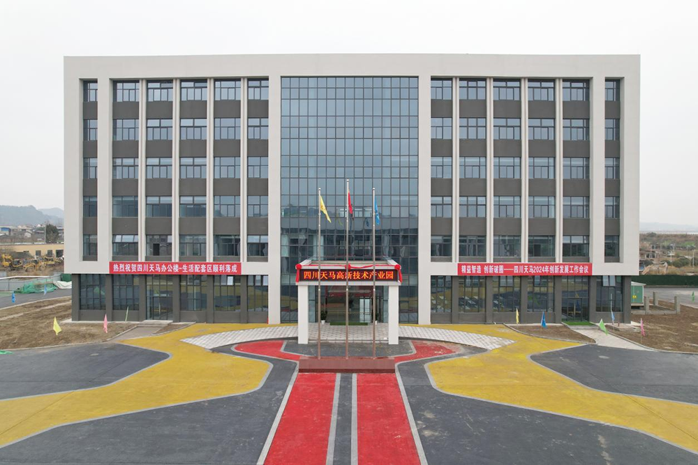 精益智造，創新破圈 | 四川天馬2024年創新發展工作會議成功召開(圖16)